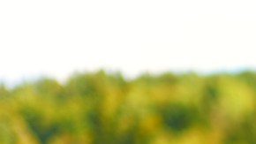 Castigó hija ir a dormir