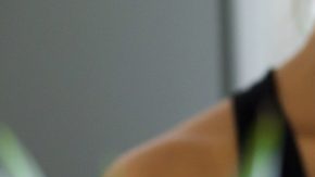 Licuadoras de alta velocidad.