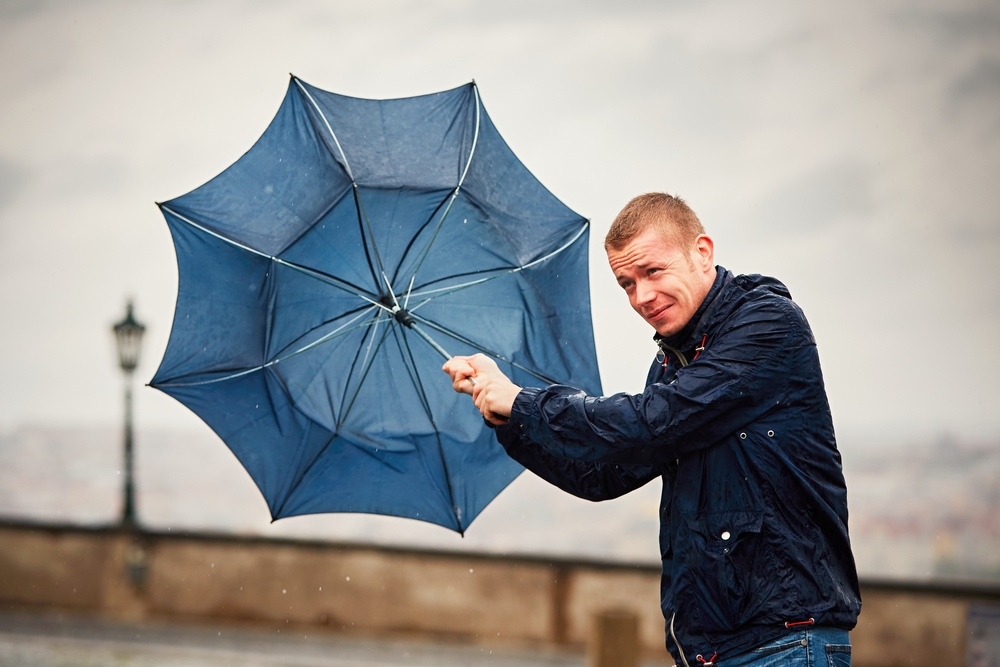 5 paraguas resistentes al viento que debes tener en caso de tormentas - La
