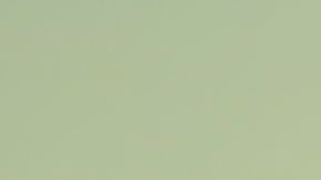 shutterstock_630824309