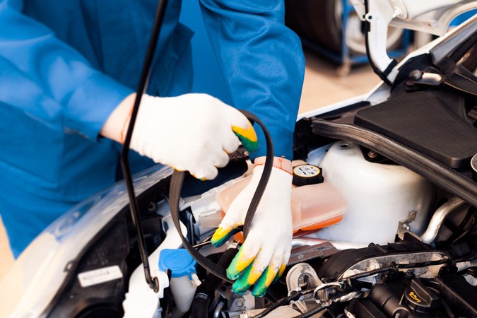 correa de distribución