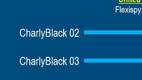 Las Blackberry tenían determinado número de contactos.