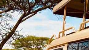 Hace pocos días recorrí por primera vez las tierras de Tanzania, un sueño hecho realidad a través del hermoso Parque Nacional de Serengueti.