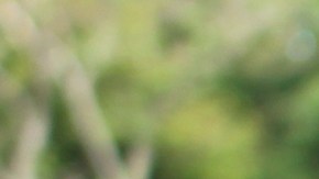 Los viajes están delimitados dentro de un área de servicio definida alrededor de cada estación.