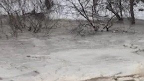 Madre e hija se salvan de hundirse en el hielo.