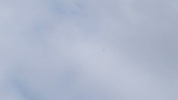 Una mujer pasa al lado de una tienda Payless Shoes Source en Los Ángeles. Todas las sucursales cerrarán para mayo. (Aurelia Ventura/La Opinion)