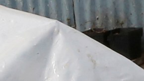 Se calculan unas 50 casas de campaña en Wilmington en los alrededores de la avenida Eubank, aunque información oficial habla de unos 500 indigentes en el área. (Aurelia Ventura/ La Opinión)