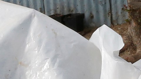 Se calculan unas 50 casas de campaña en Wilmington en los alrededores de la avenida Eubank, aunque información oficial habla de unos 500 indigentes en el área. (Aurelia Ventura/ La Opinión)