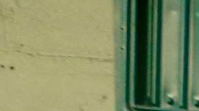 Gualterio Santos está feliz porque ya va a poder a comenzar a vender sus flores.(Aurelia Ventura/La Opinion)