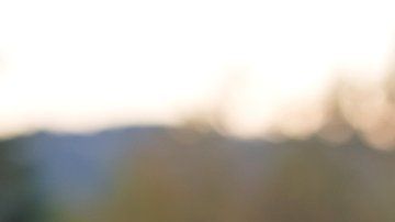 Los tumores cancerígenos usan glucosa para su crecimiento.