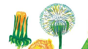 6 plantas medicinales