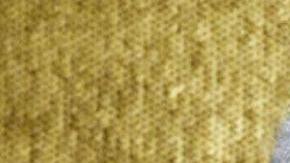 Choupette, la gata de Karl Lagerfeld que heredará parte de su fortuna.