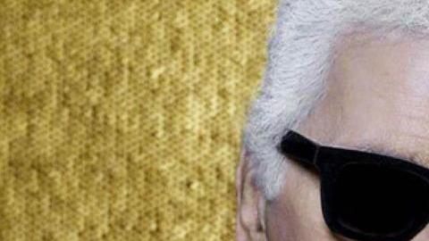 Choupette, la gata de Karl Lagerfeld que heredará parte de su fortuna.