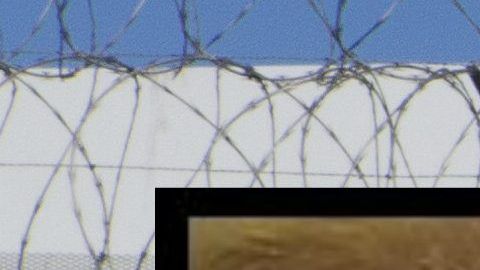 Trump asegura que México no hace nada por detener a los inmigrantes que llegan a EEUU