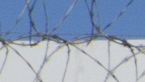 Por su parte la Cámara Baja votará este martes para bloquear declaratoria de Trump