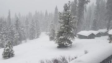 Visitantes a Montecito Sequoia Resort se han quedado varados debido a densa tormenta de nieve. (Suministrada)