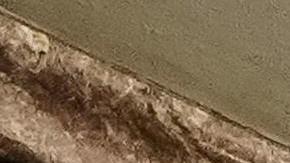 Trump camino a su discurso en el Congreso