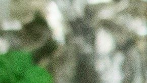 Trump en la Casa Blanca.