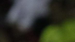 El tenista español Rafael Nadal fue eliminado por Nick Kyrgios del Abierto mexicano en Acapulco.