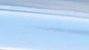 La nueva característica deja saber a otras personas acerca de la salud del animal  en el auto