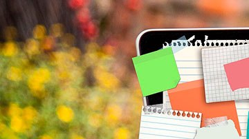 Desde el clima hasta el teléfono, hay muchas cosas capaces de hacerte menos eficiente.