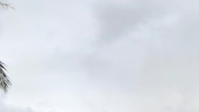 El avión se estrelló contra una vivienda unifamiliar y provocó un fuerte incendio en la estructura.