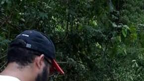 No pudieron mover al animal de la zona donde fue hallado, debido a la intensa flora