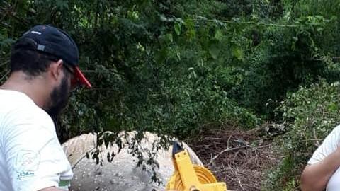 No pudieron mover al animal de la zona donde fue hallado, debido a la intensa flora