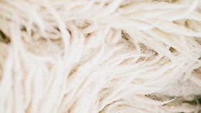 Los nombres en tendencia hace 70 años están volviendo a ser los protagonistas esta década