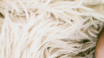 Los nombres en tendencia hace 70 años están volviendo a ser los protagonistas esta década