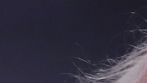 Bernie Sanders y Julián Castro.