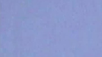 Camden fue arrestado después del asesinato en la residencia de Newport Beach el pasado 15 de febrero.