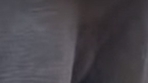 El bebé elefante no quiere despertarse.