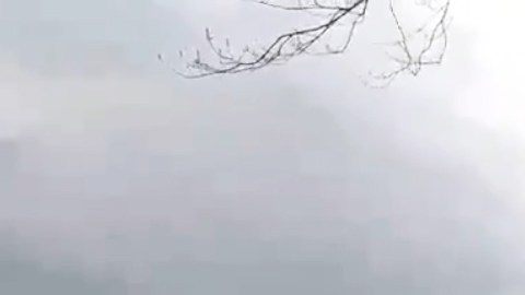 Fuertes vientos y bajas temperaturas crearon "olas de hielo".