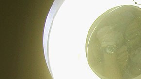 Estas carreras pagan muy bien, pero debes esforzarte para lograr obtener un título en éstas.