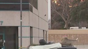 Los autos quedaron totalmente destruidos. (@KTLA)