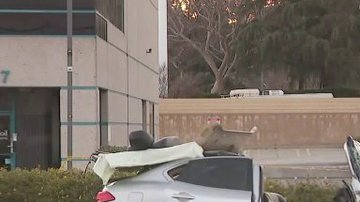 Los autos quedaron totalmente destruidos. (@KTLA)