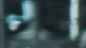 Hallaron los autos más extravagantes por doquier en este dehuesadero