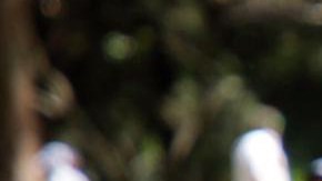 Tiger Woods tuvo un discreto debut en el Campeonato Mundial de Golf que de disputa en México