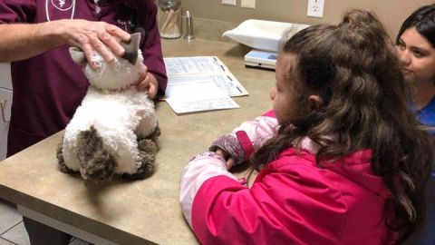 Una niña con autismo va al veterinario con su gato de peluche.