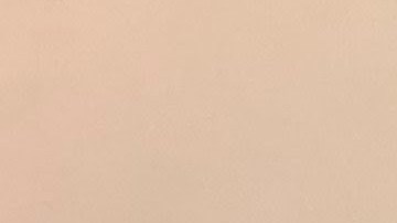 El mes pasado, un grupo de dreamers fueron a Washington, D.C. a abogar por el restablecimiento del Advance Parole, el permiso oficial para viajar al exterior y regresar si problemas a EE UU. (Foto suministrado)