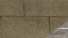 Los 350 paquetes de metanfetamina.