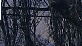 Los incendios Hill y Woolsey destruyeron casas, negocios, autos y más a su paso. / foto: getty.