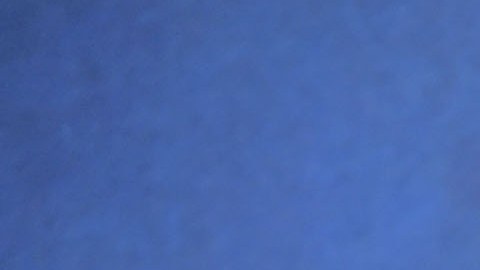 Alvin Ailey American Dance Theater's 60th Anniversary Opening Night Gala Benefit