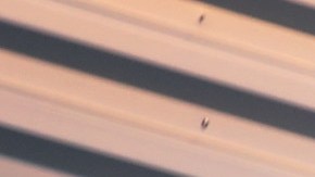 Los precios de Costco incluyen instalación