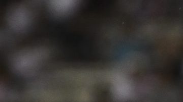 River Plate fue troleado por la Real Academia de la Lengua.