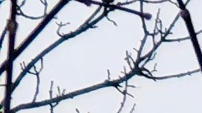 El vapor de agua se eleva sobre St. Anthony Falls en el río Mississippi.