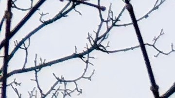 El vapor de agua se eleva sobre St. Anthony Falls en el río Mississippi.