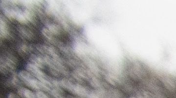 Trump canceló la protección migratoria a más de 300,000 inmigrantes