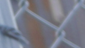 Aseguran que este programa pone en peligro el acceso significativo al asilo.